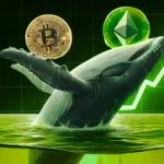 Bitcoin Crash 2026: Token Bay Capital Says Whales Are Already Buying Back In