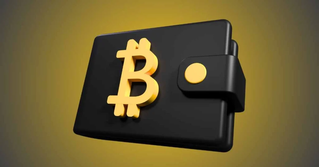 Crypto Webinars for Businesses: How Companies Are Learning to Accept Crypto Payments